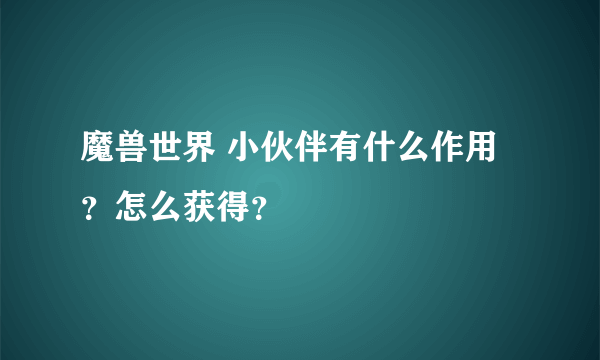 魔兽世界 小伙伴有什么作用？怎么获得？