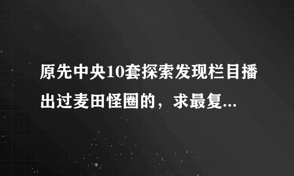 原先中央10套探索发现栏目播出过麦田怪圈的，求最复杂的怪圈（不是那个含有圆周率的）酌情加分。