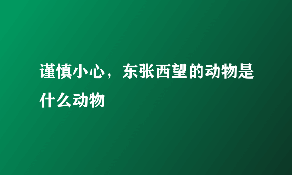 谨慎小心，东张西望的动物是什么动物