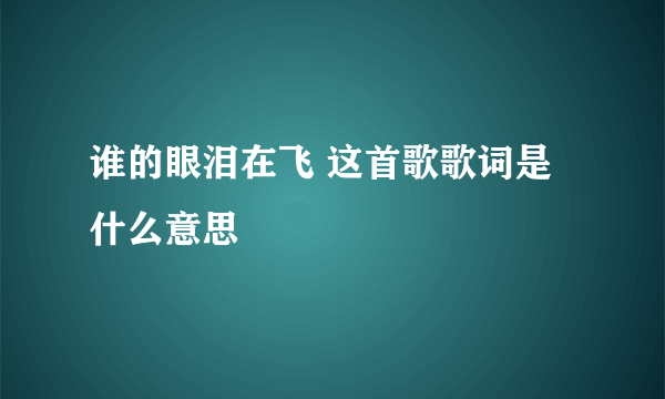 谁的眼泪在飞 这首歌歌词是 什么意思