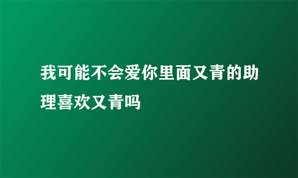 我可能不会爱你里面又青的助理喜欢又青吗