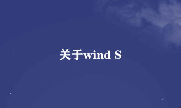 关于wind S