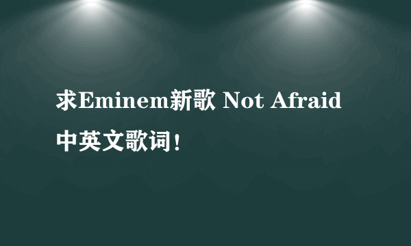 求Eminem新歌 Not Afraid 中英文歌词！