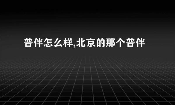 普伴怎么样,北京的那个普伴