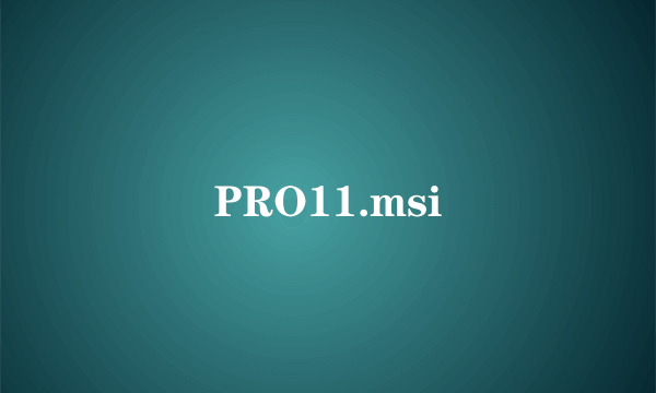 PRO11.msi