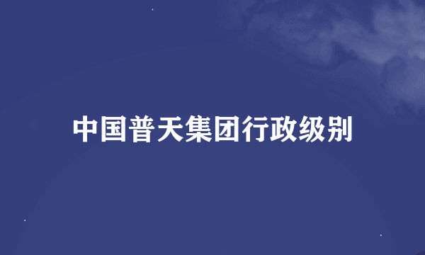 中国普天集团行政级别