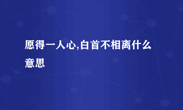 愿得一人心,白首不相离什么意思