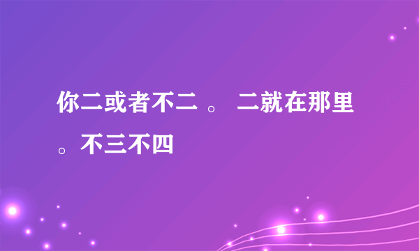 你二或者不二 。 二就在那里 。不三不四