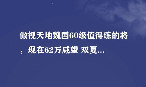 傲视天地魏国60级值得练的将，现在62万威望 双夏侯，许褚，曹操，都已经转满洗好。。。长时间空着校场。。