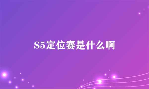 S5定位赛是什么啊