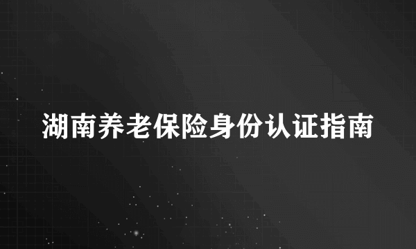 湖南养老保险身份认证指南