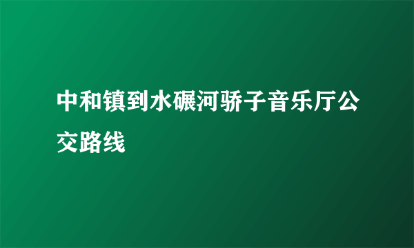 中和镇到水碾河骄子音乐厅公交路线