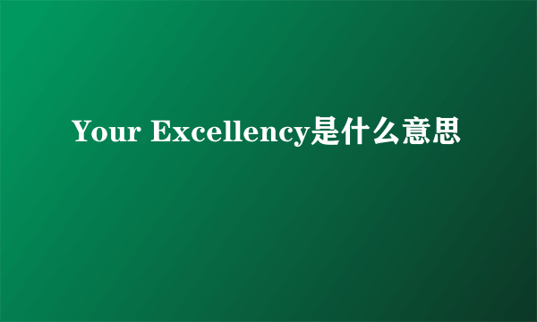 Your Excellency是什么意思