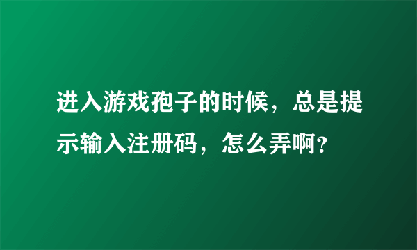 进入游戏孢子的时候，总是提示输入注册码，怎么弄啊？