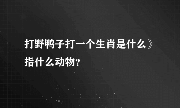 打野鸭子打一个生肖是什么》指什么动物？