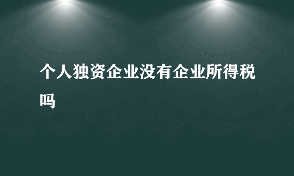 个人独资企业没有企业所得税吗