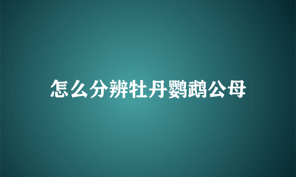 怎么分辨牡丹鹦鹉公母