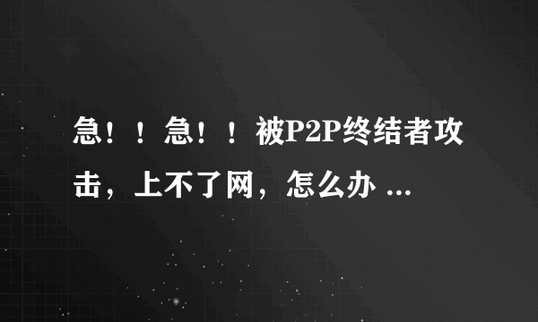 急！！急！！被P2P终结者攻击，上不了网，怎么办 高分悬赏