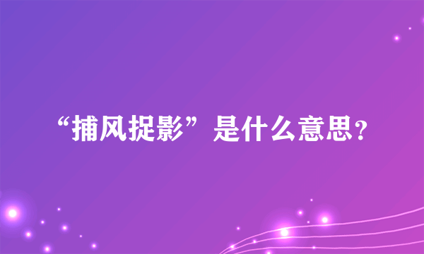 “捕风捉影”是什么意思？