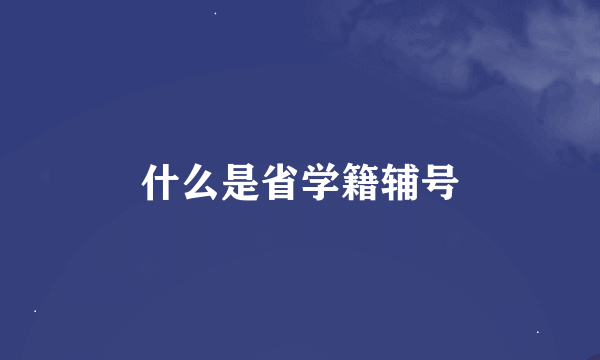 什么是省学籍辅号