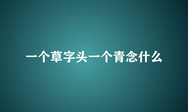 一个草字头一个青念什么