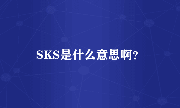 SKS是什么意思啊？