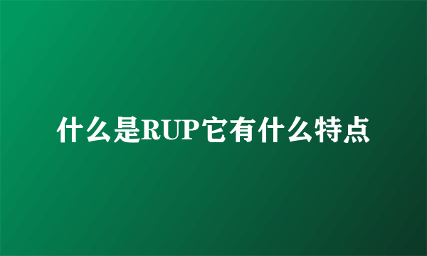 什么是RUP它有什么特点