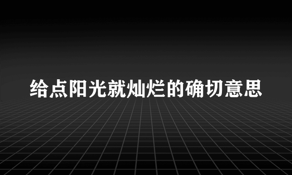 给点阳光就灿烂的确切意思