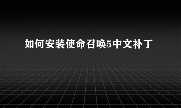 如何安装使命召唤5中文补丁