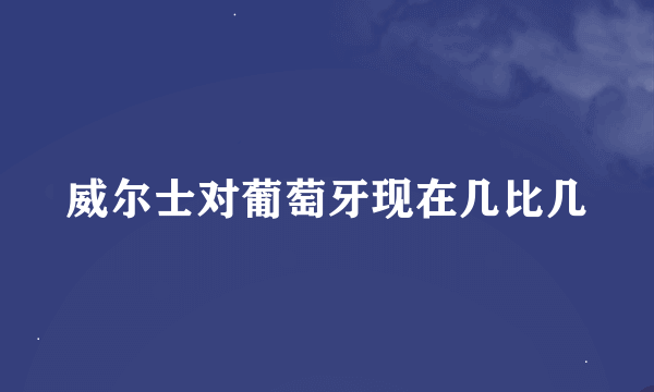 威尔士对葡萄牙现在几比几