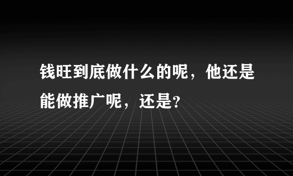 钱旺到底做什么的呢，他还是能做推广呢，还是？