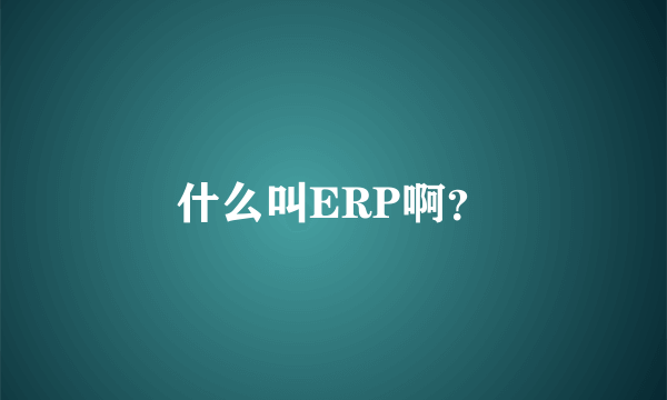 什么叫ERP啊？