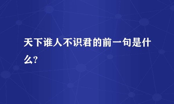 天下谁人不识君的前一句是什么?