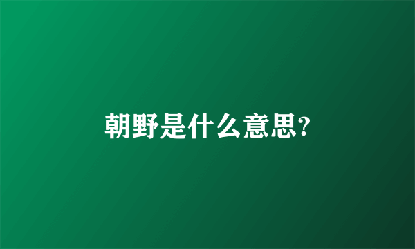 朝野是什么意思?