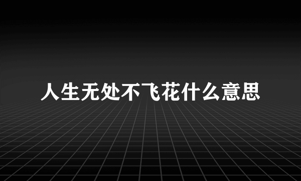 人生无处不飞花什么意思