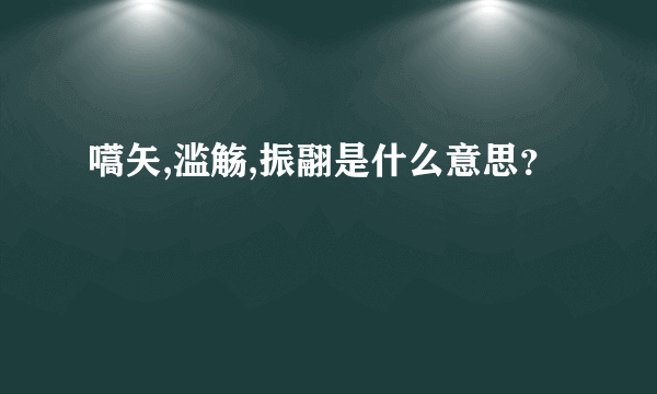 嚆矢,滥觞,振翮是什么意思？