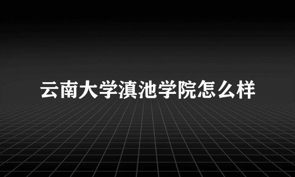 云南大学滇池学院怎么样