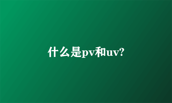 什么是pv和uv?