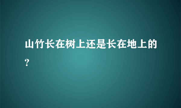 山竹长在树上还是长在地上的？