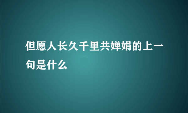 但愿人长久千里共婵娟的上一句是什么