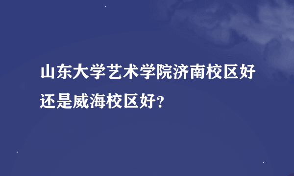 山东大学艺术学院济南校区好还是威海校区好？