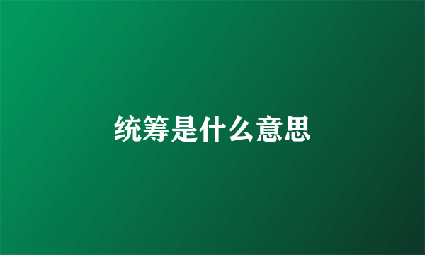 统筹是什么意思