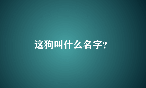 这狗叫什么名字？