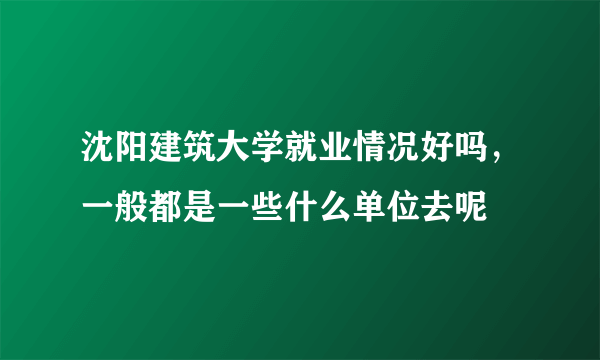 沈阳建筑大学就业情况好吗，一般都是一些什么单位去呢