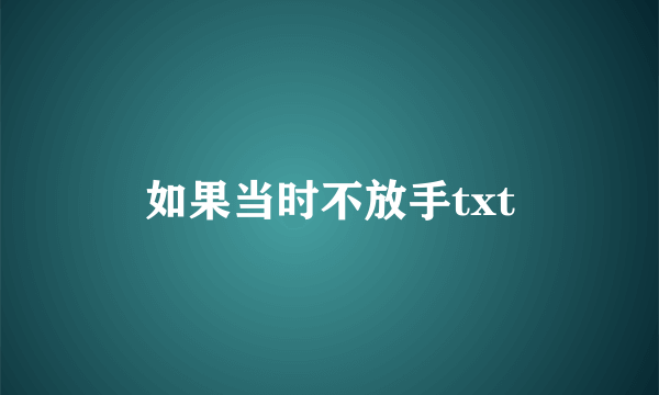 如果当时不放手txt