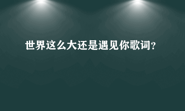 世界这么大还是遇见你歌词？