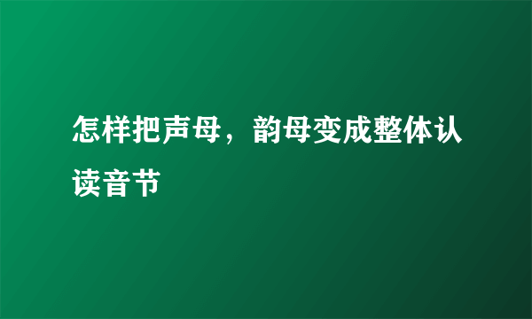 怎样把声母，韵母变成整体认读音节