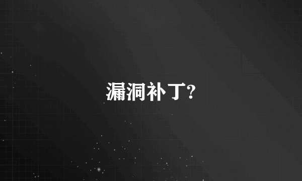 漏洞补丁?