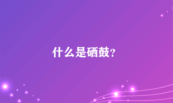 什么是硒鼓？