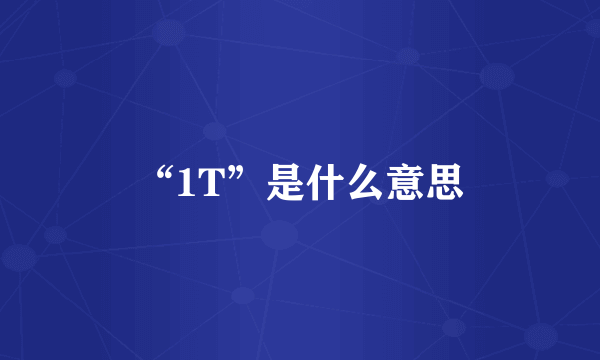 “1T”是什么意思